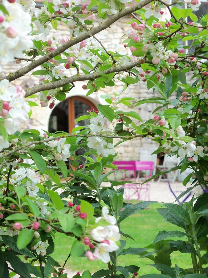 Chambres Et Jardin De Pierres Espedaillac ภายนอก รูปภาพ